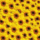 Regenpijp Zonnebloemenmotief